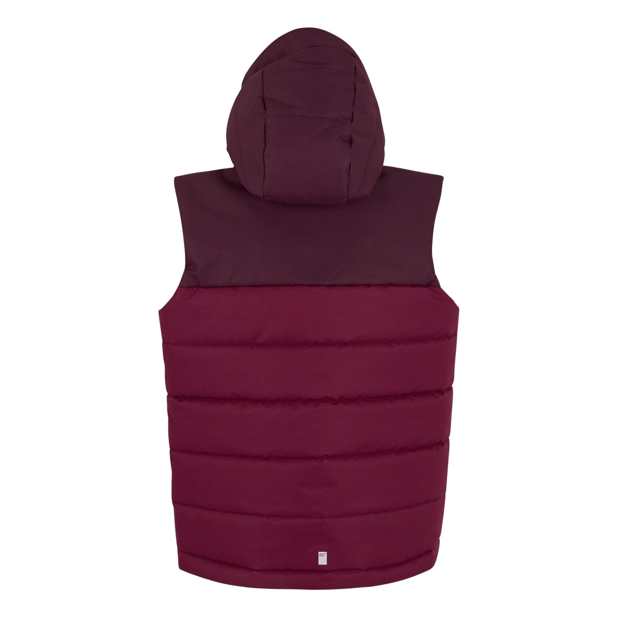 Gilet Imbottito Bambini Regatta Lofthouse Fico Pimento Scuro 2/5