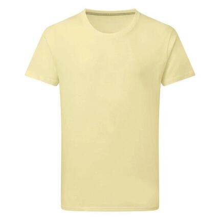 Tshirt Homme (Gris)
