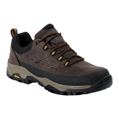 Herenschoenen blake laag (zwart)