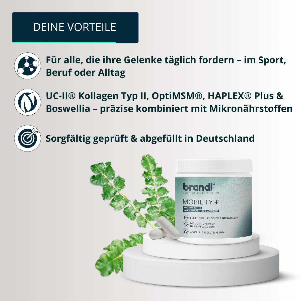 brandl® Mobility + – Deine tägliche Gelenkformel für aktive Menschen 3/7