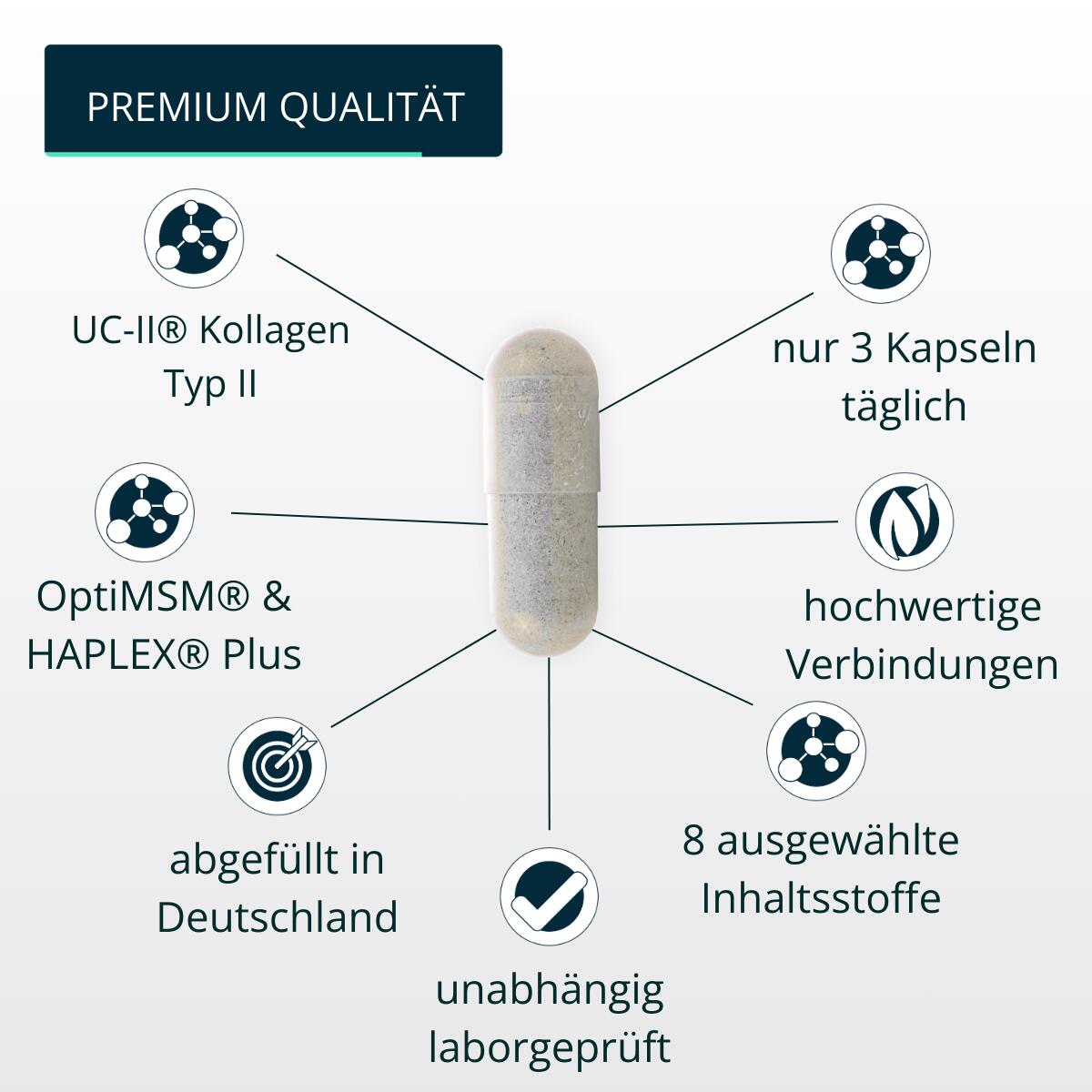 brandl® Mobility + – Deine tägliche Gelenkformel für aktive Menschen 4/7