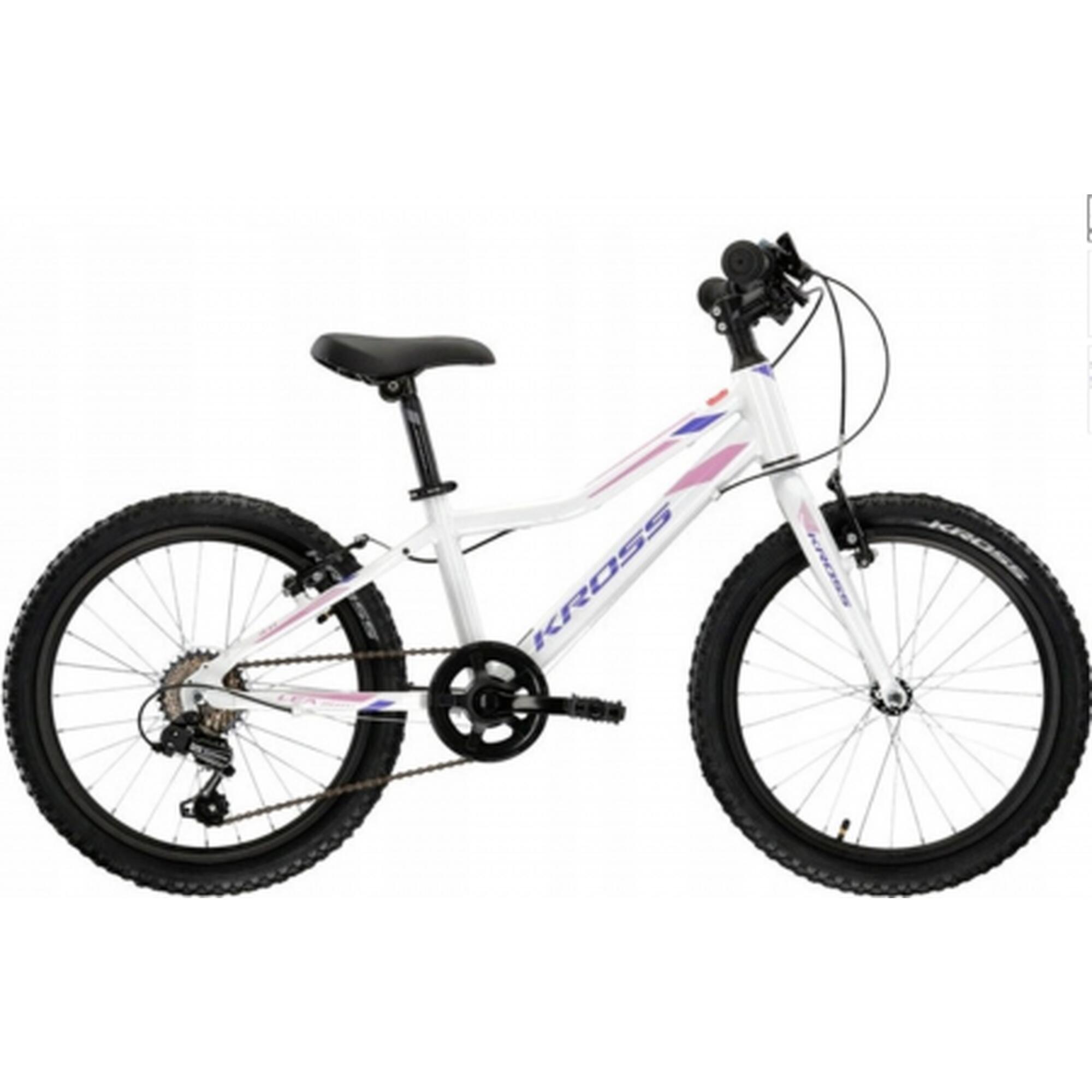 209fb075-6387-4431-8eb2-1b4f70965a43_c4c24