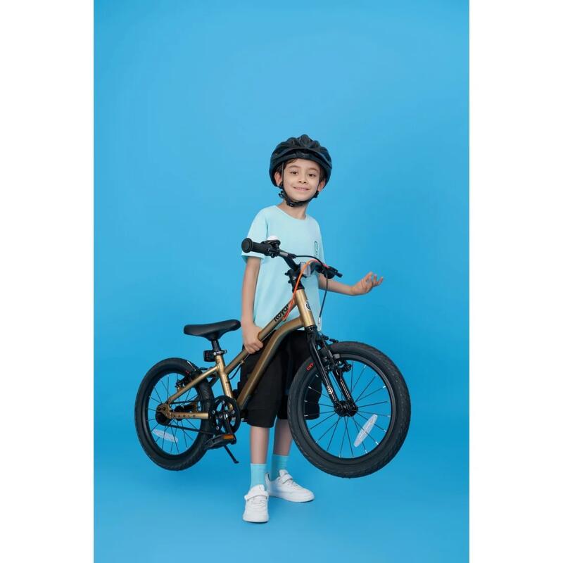 Bicicletă pentru copii Royal Baby Kable-Belt, 16 inch, albastru.