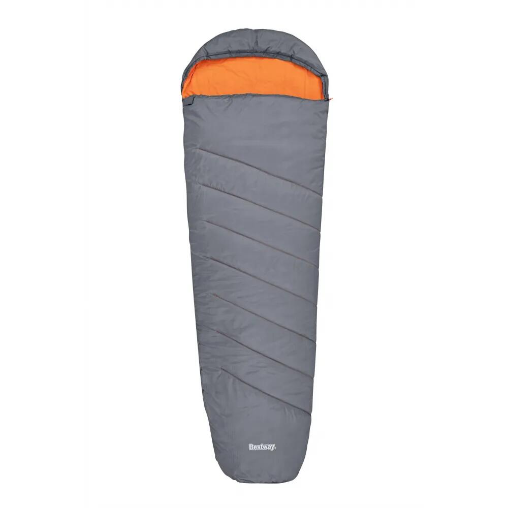 Sacco a Pelo Bestway Multicolore 2/6