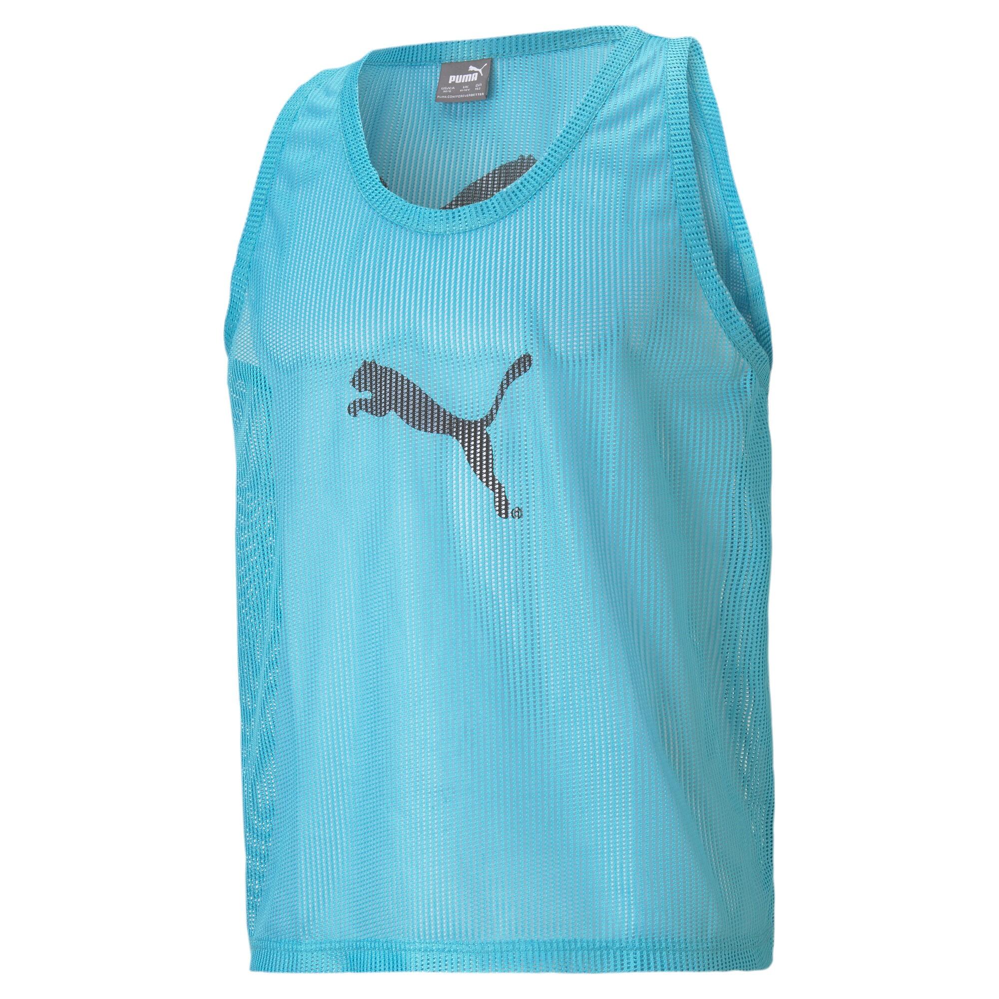 PUMA picture