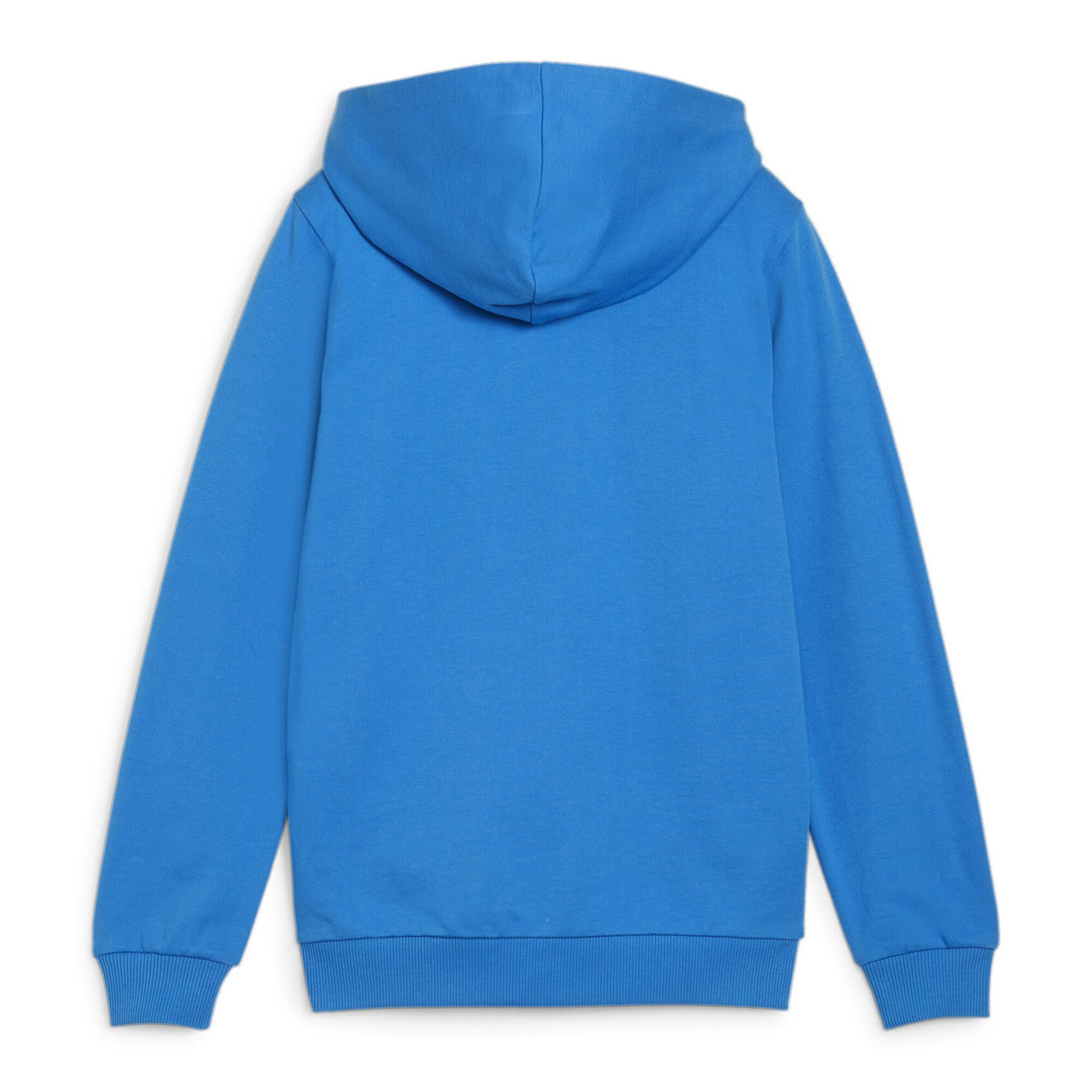 Felpa per bambini Puma teamGoal Casuals Hooded 3/3