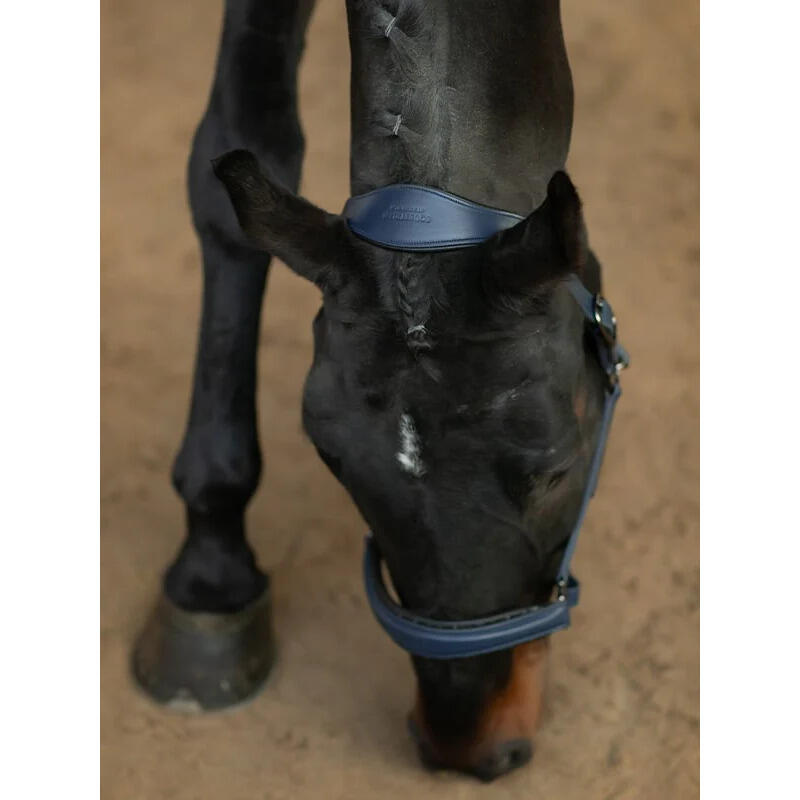 Licol en cuir Anatomique Glimmer Dark Venice - Equestrian Stockholm 4/4