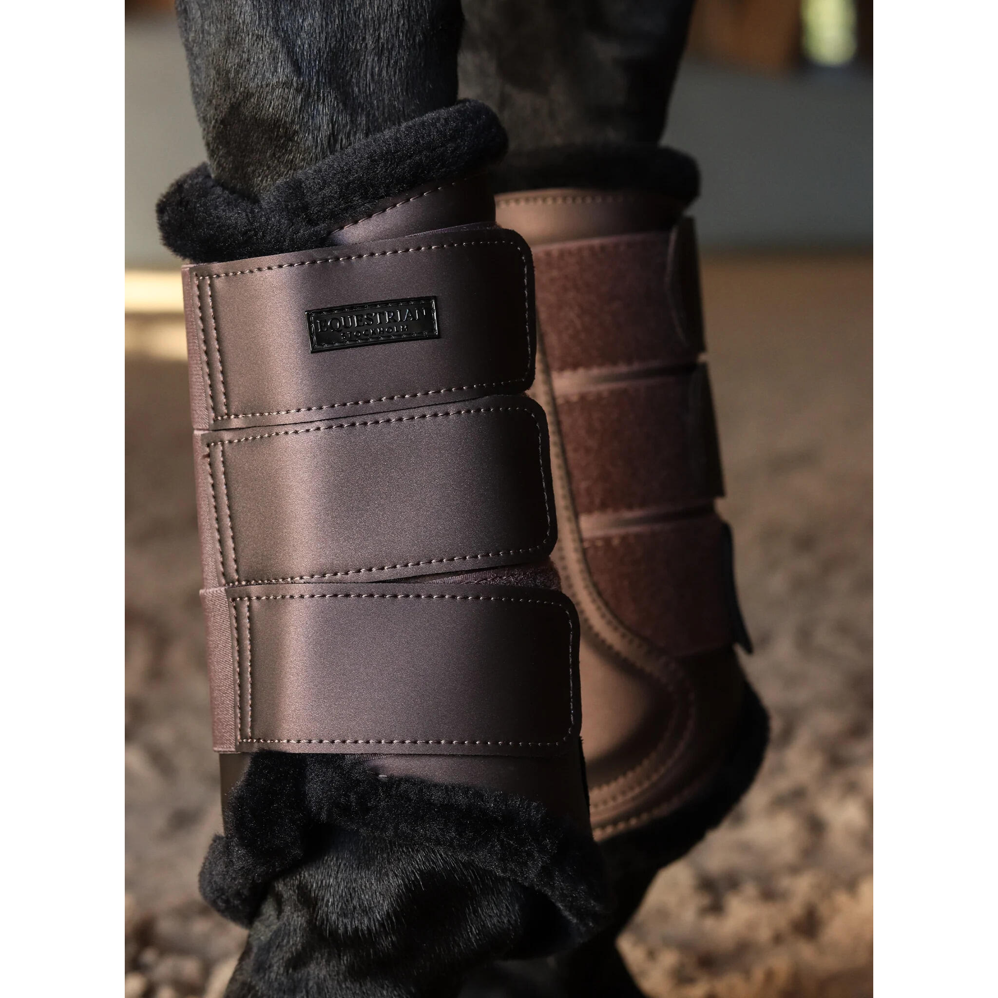 Guêtres de dressage Modern Mocha - Equestrian Stockholm 4/4