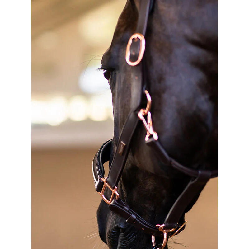 Licol Anatomique Moonless Night - Equestrian Stockholm 3/5