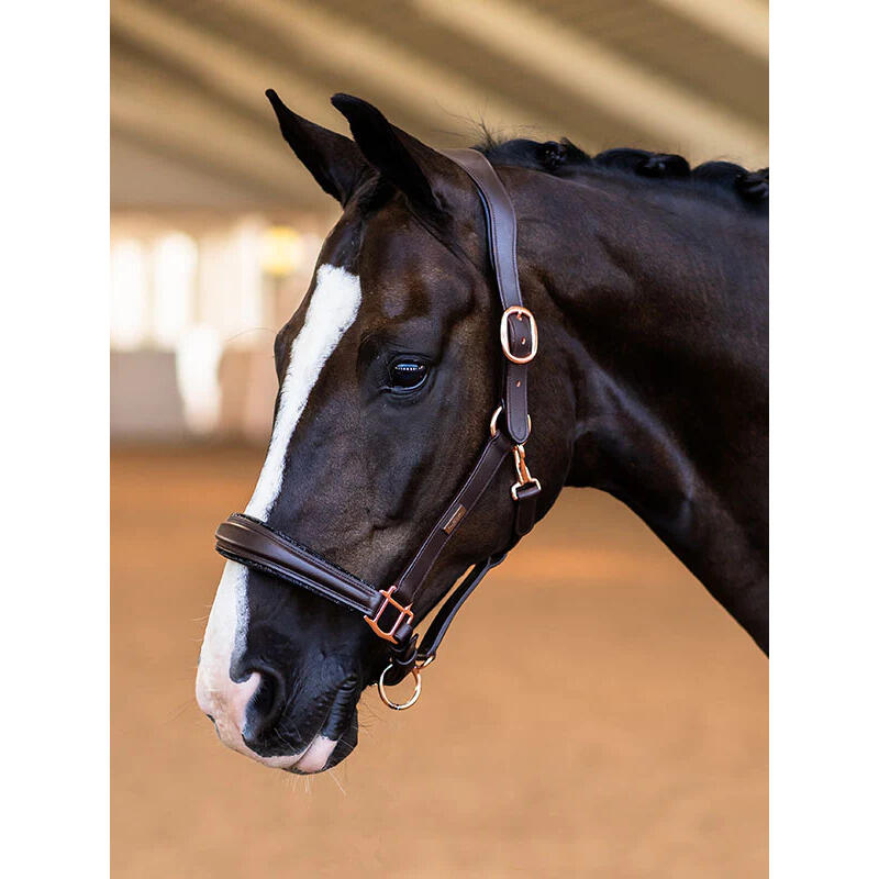 Licol Anatomique Moonless Night - Equestrian Stockholm 4/5