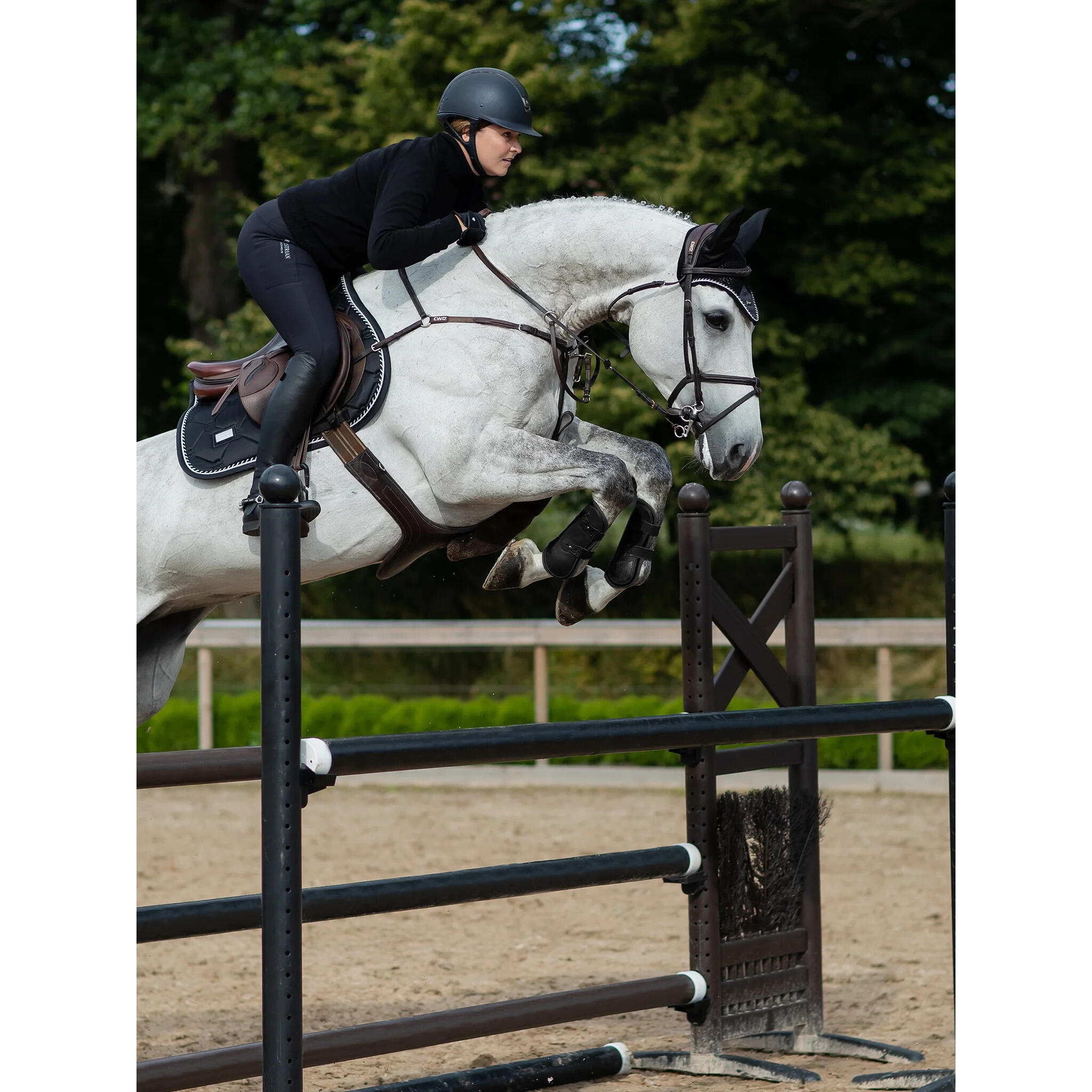 Tapis de selle Black Edition - Equestrian Stockholm 3/5