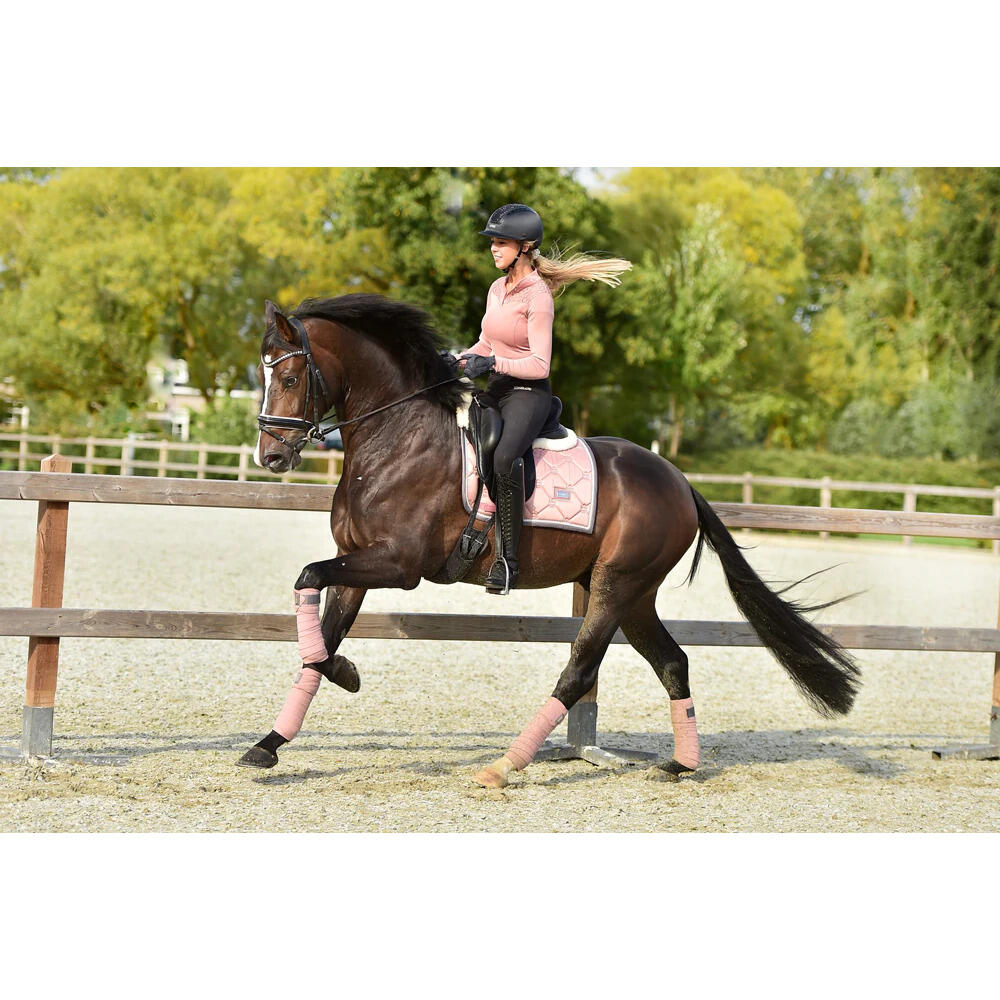 Sottosella dressage Equestrian Stockholm 5/5