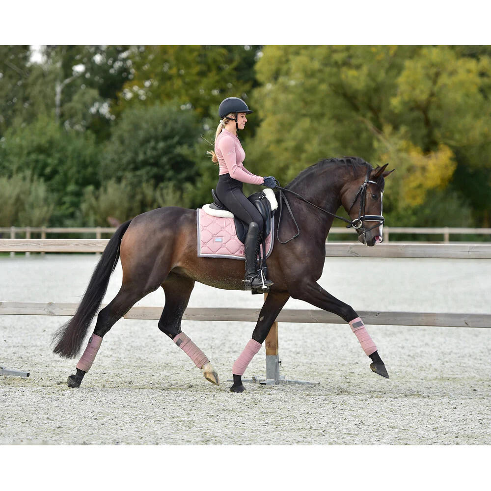 Sottosella dressage Equestrian Stockholm 4/5