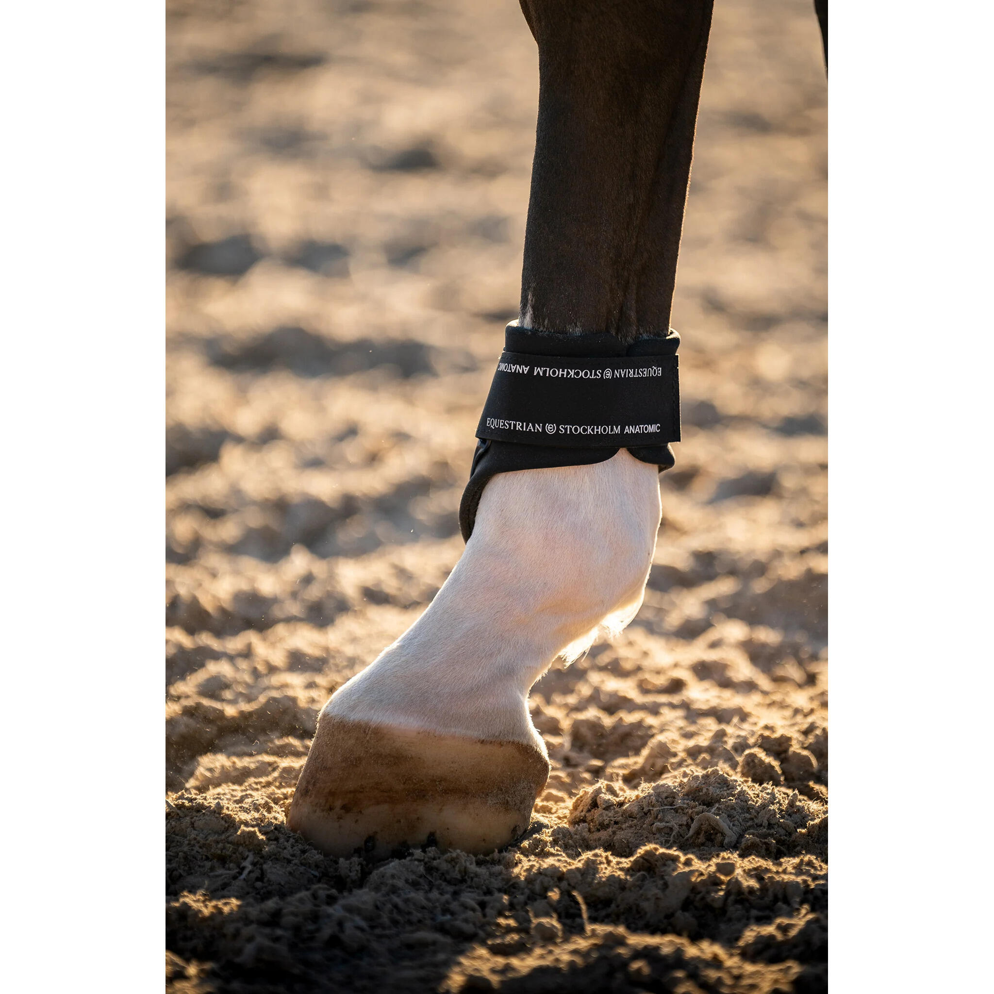 Protège-boulets Anatomic Fetlock Modern Tech Navy - Equestrian Stockholm 5/5