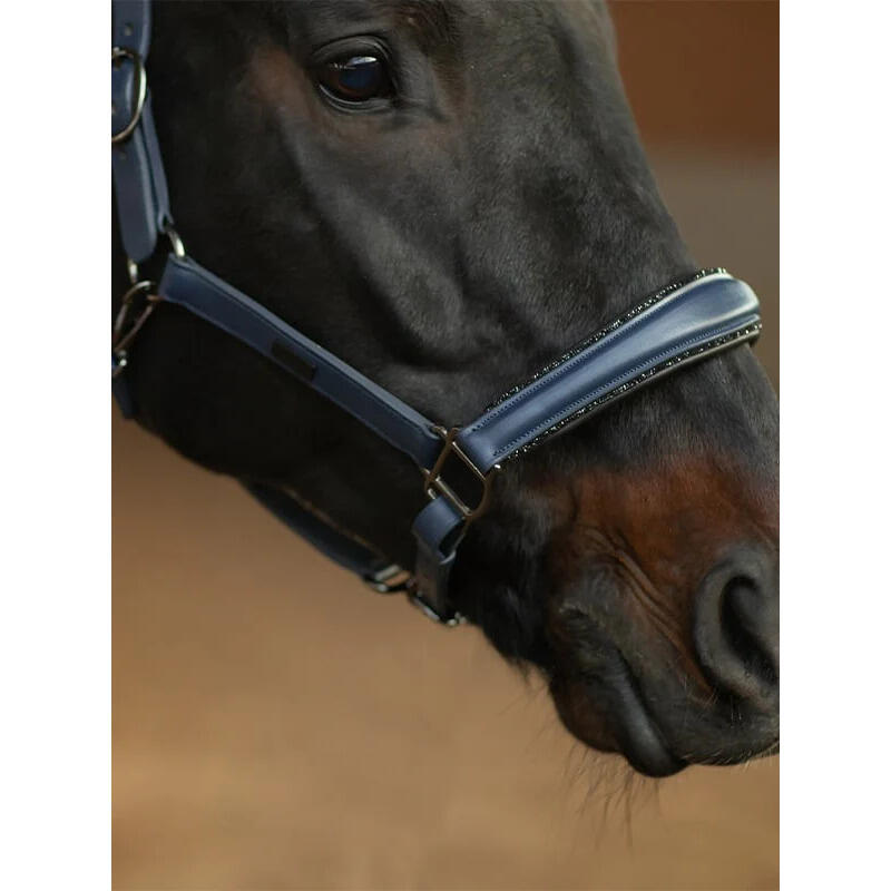 Licol en cuir Anatomique Glimmer Dark Venice - Equestrian Stockholm 3/4