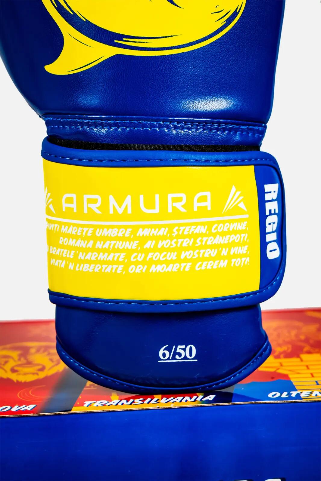 Manusi de Box ARMURA Regio Dobrogea Albastru/Galben Editie Limitata 5/5