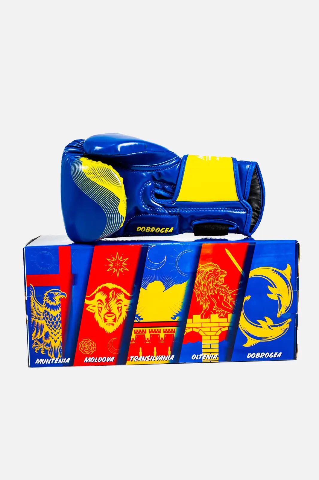 Manusi de Box ARMURA Regio Dobrogea Albastru/Galben Editie Limitata 4/5