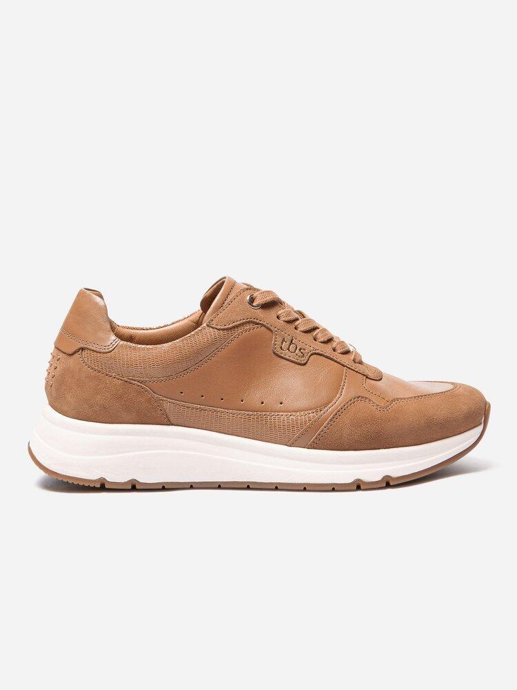 vert fonce / beige taupe