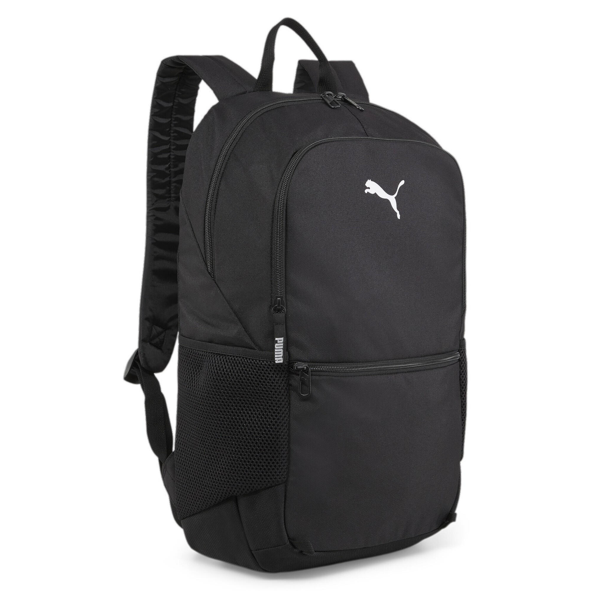 PUMA picture