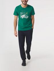 T-shirt manches courtes homme LUIGITEE Littoral, col rond coupe ajustée