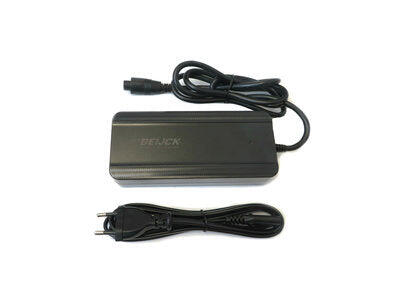 Caricabatterie Van Beijck 36 V 20 A con spina rotonda 5 pin 11 mm.