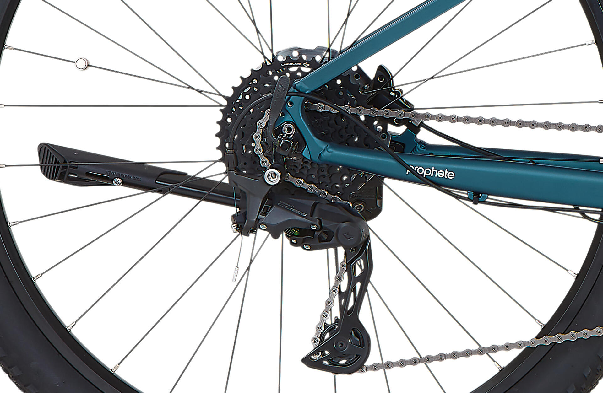 Prophete E-Bike Dice 3.8 29" Diamante RH48 7/7