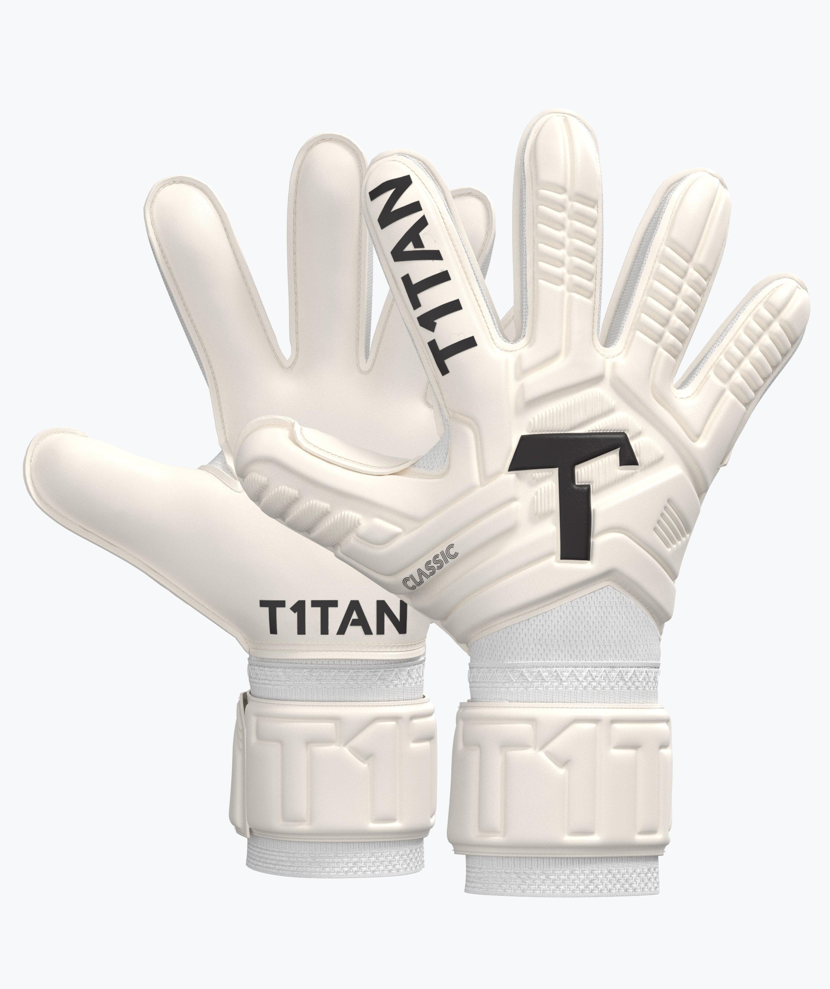 T1TAN picture