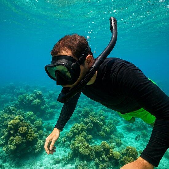 Snorkel negru