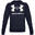 Hanorac Drumeții În Natură Under Armour Rival Big Logo Bărbați