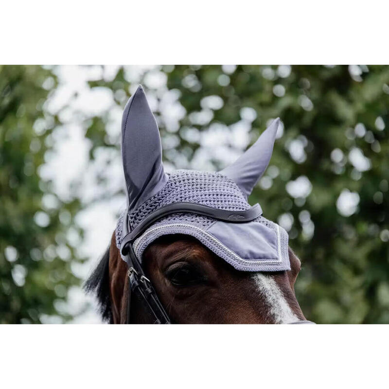Kentucky Oornetje Wellington Velvet Paarsc -