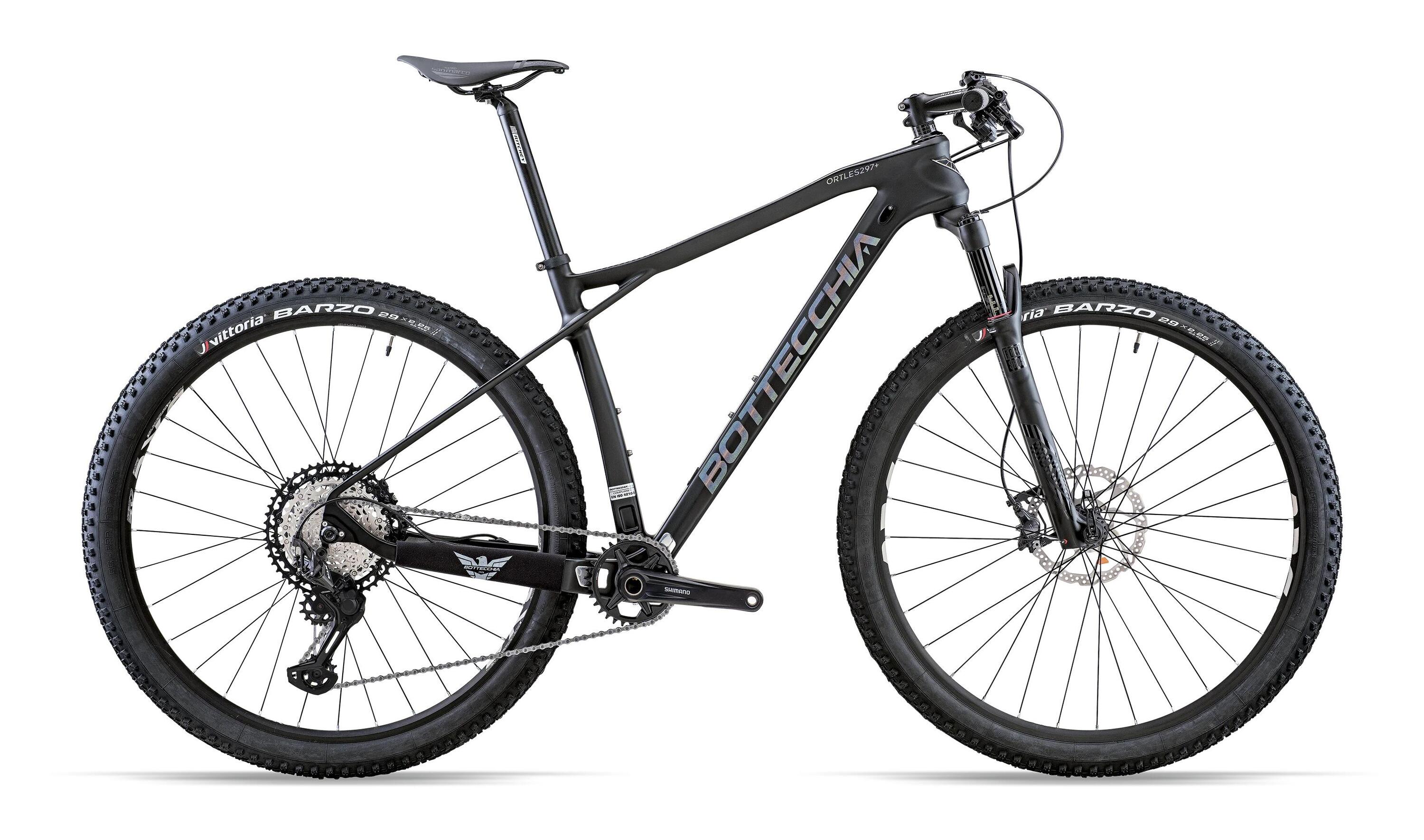 BOTTECCHIA picture