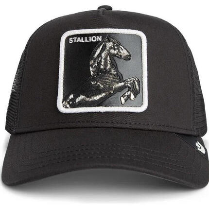 Casquette Goorin Bros Stallion Truck Noire