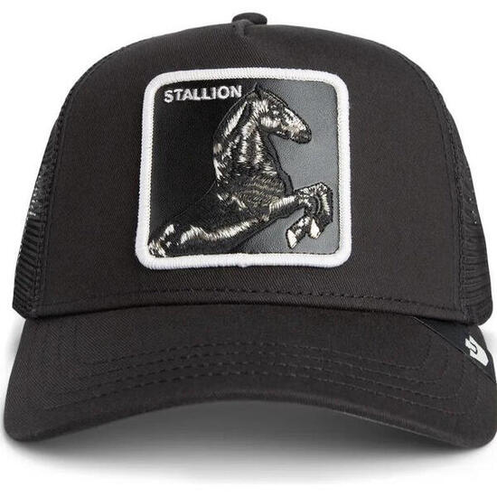 Casquette Goorin Bros Stallion Truck Noire