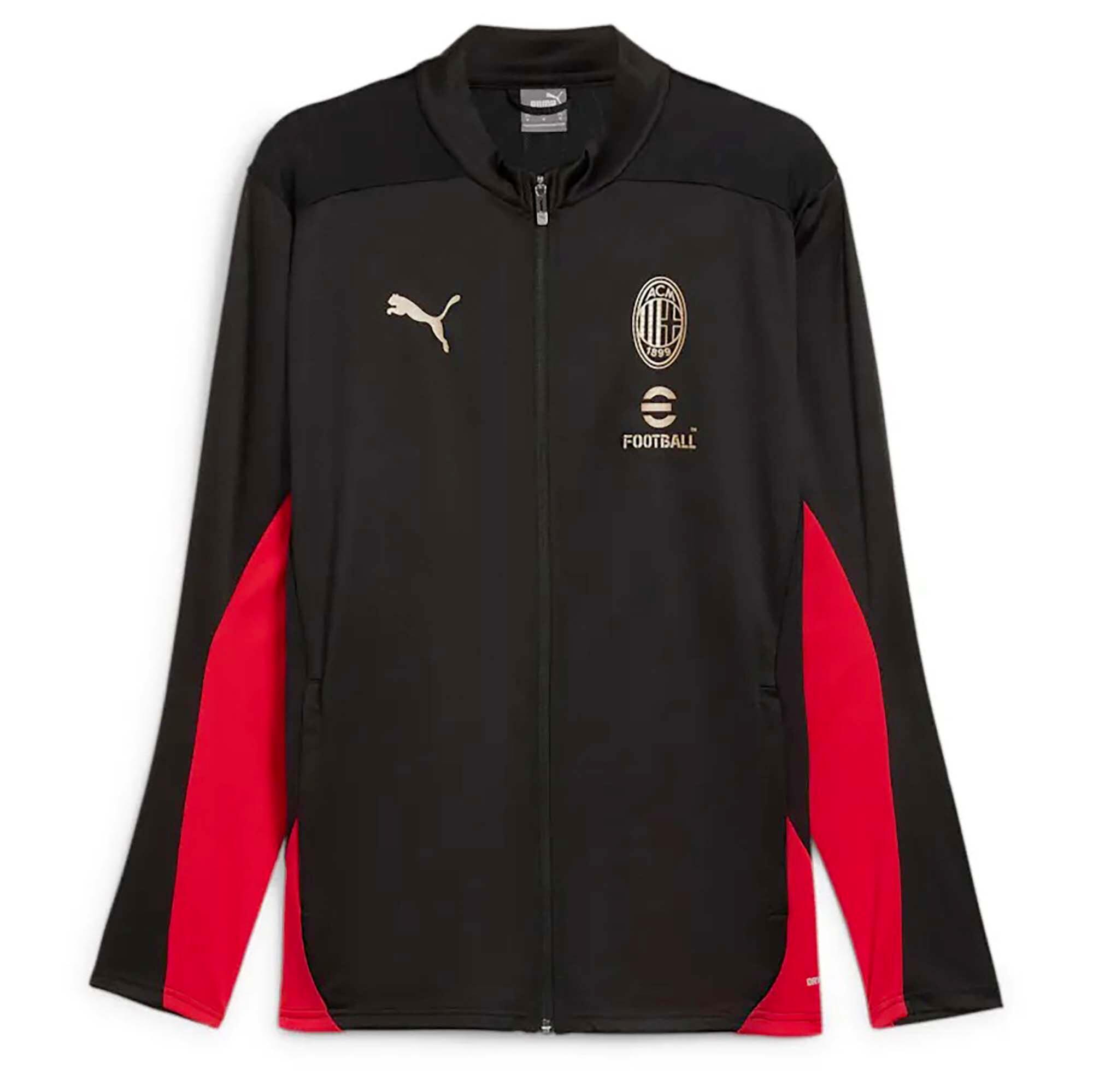 PUMA picture