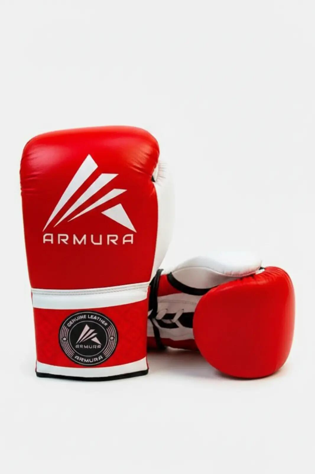 ARMURA picture