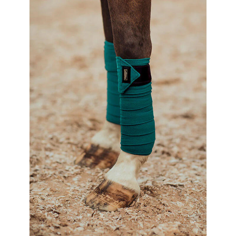 Bandes de polo pour cheval Equestrian Stockholm 2/2