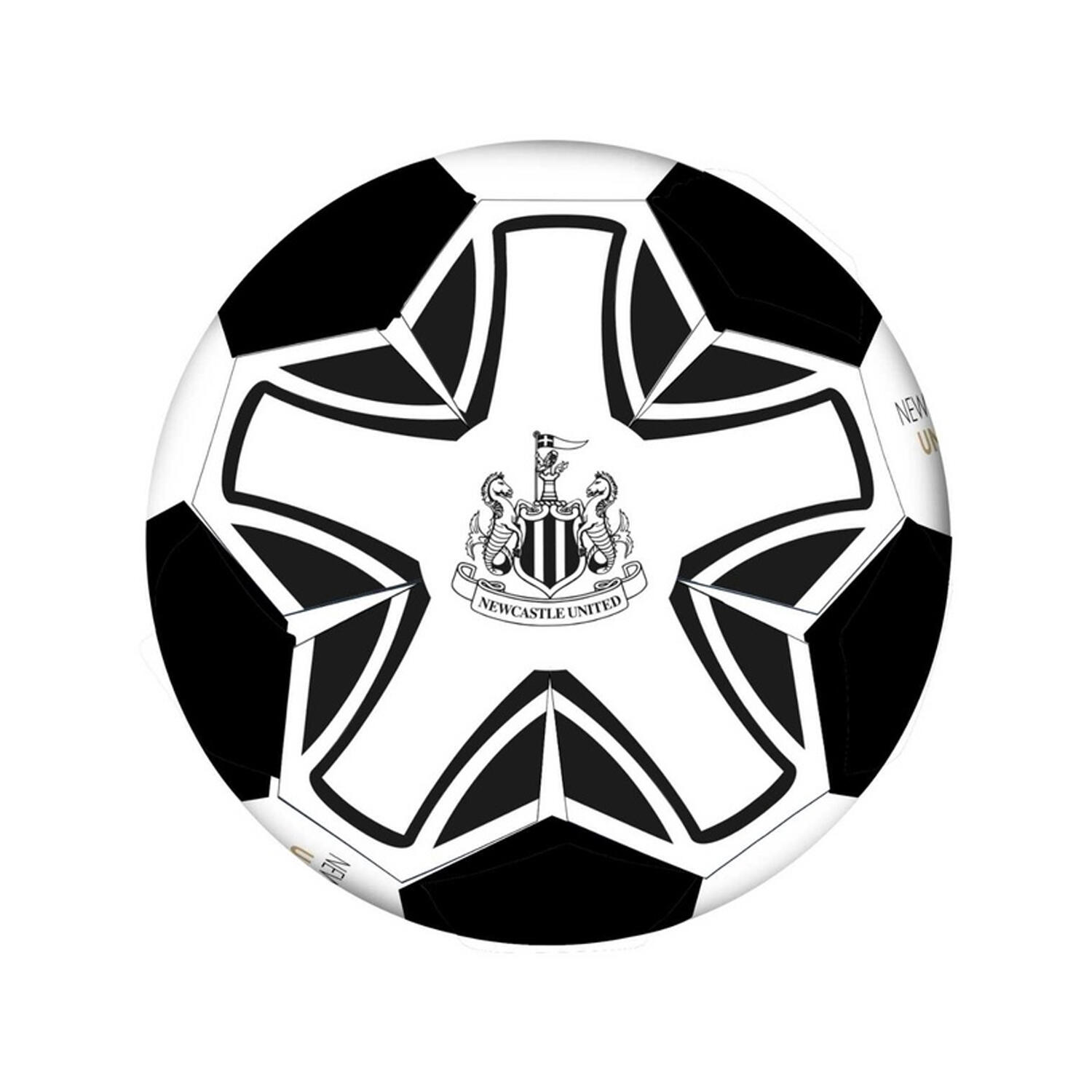 NEWCASTLE UNITED picture
