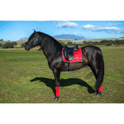 Mata ujeżdżeniowa dla koni Equestrian Stockholm