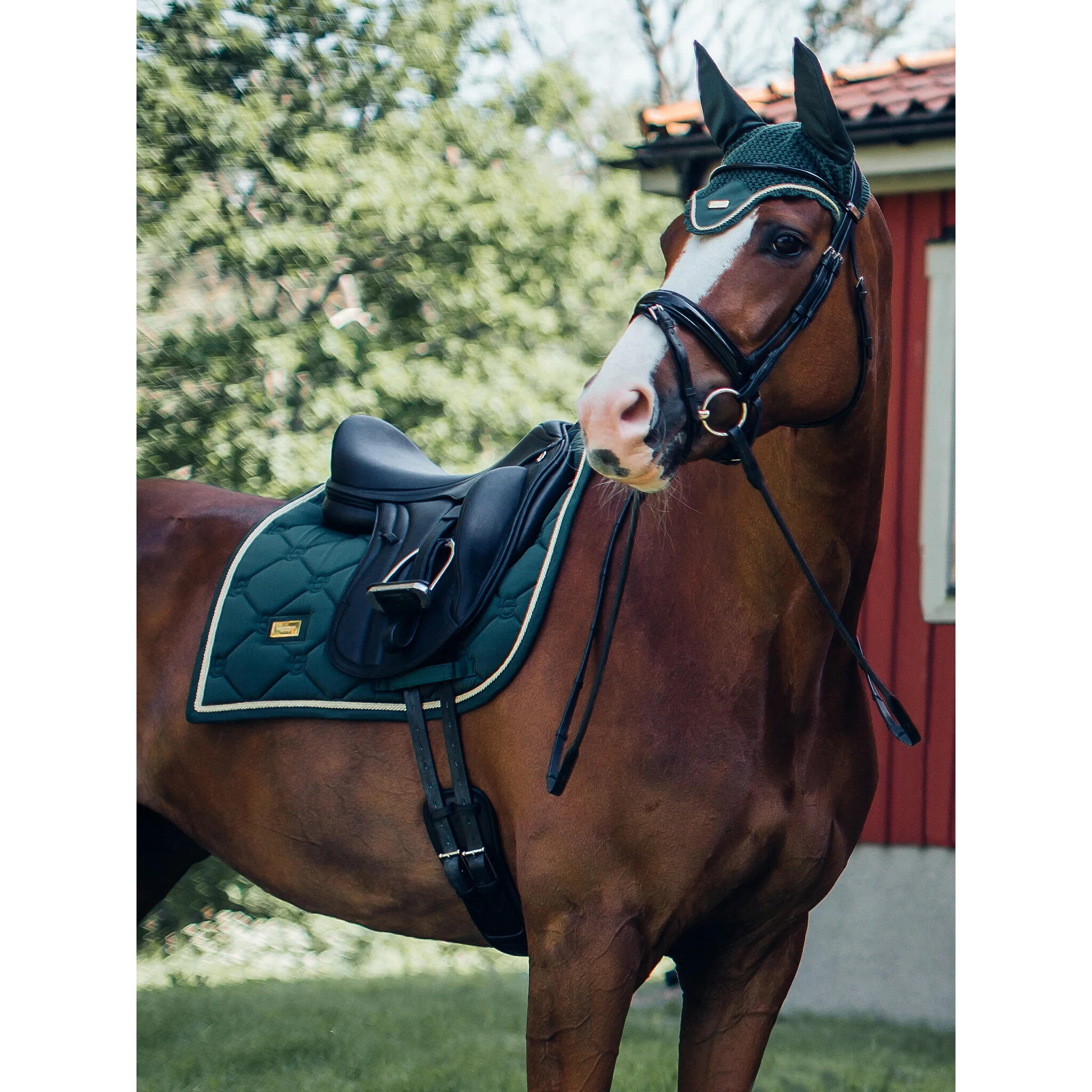 Sottosella dressage Equestrian Stockholm 3/4