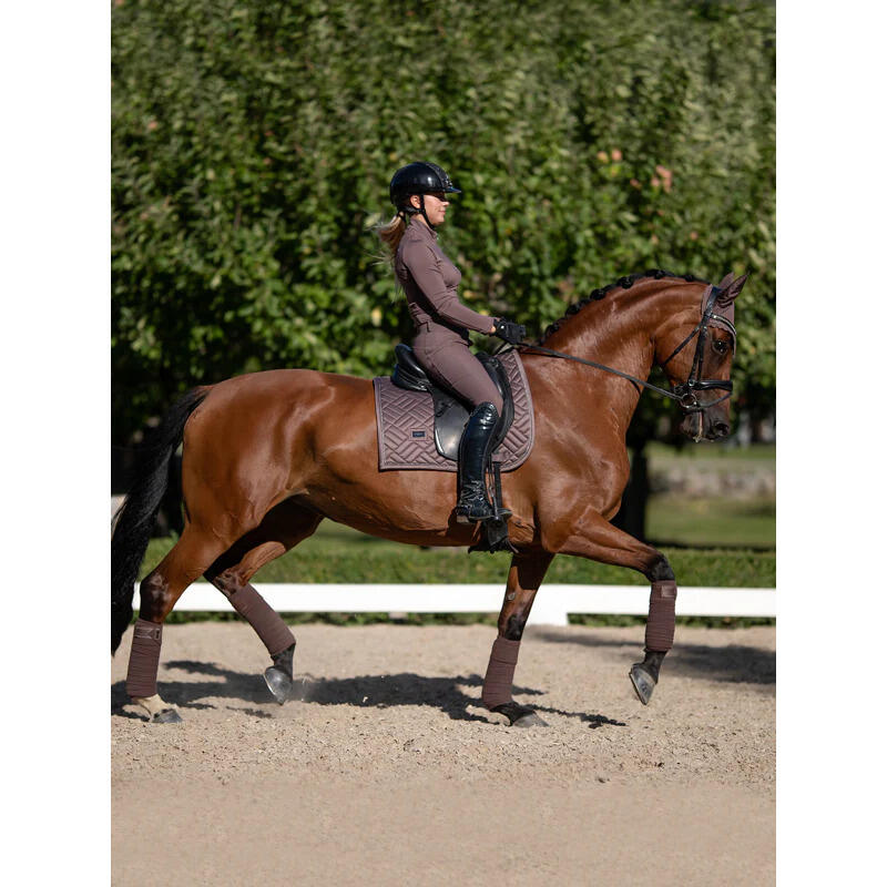 Sottosella dressage Equestrian Stockholm 3/5