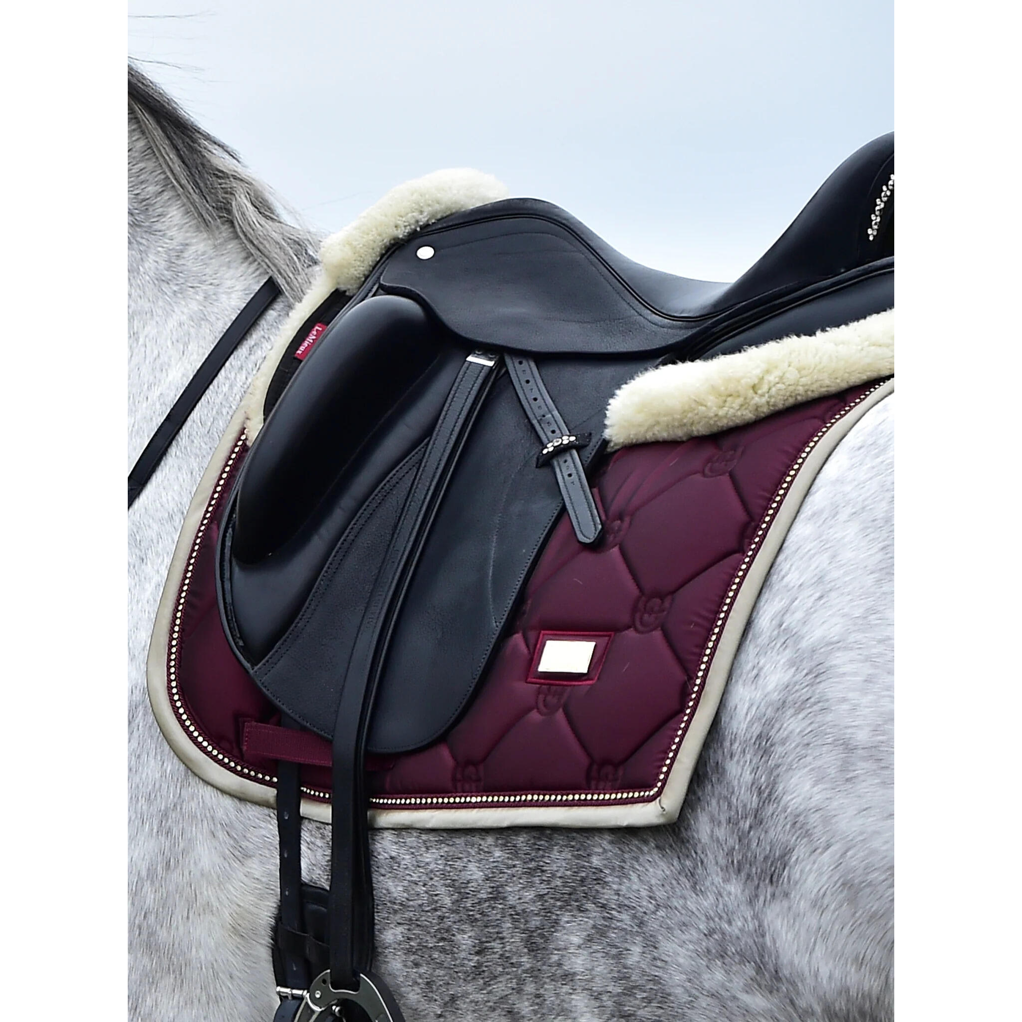 Mata ujeżdżeniowa dla koni Equestrian Stockholm 2/3