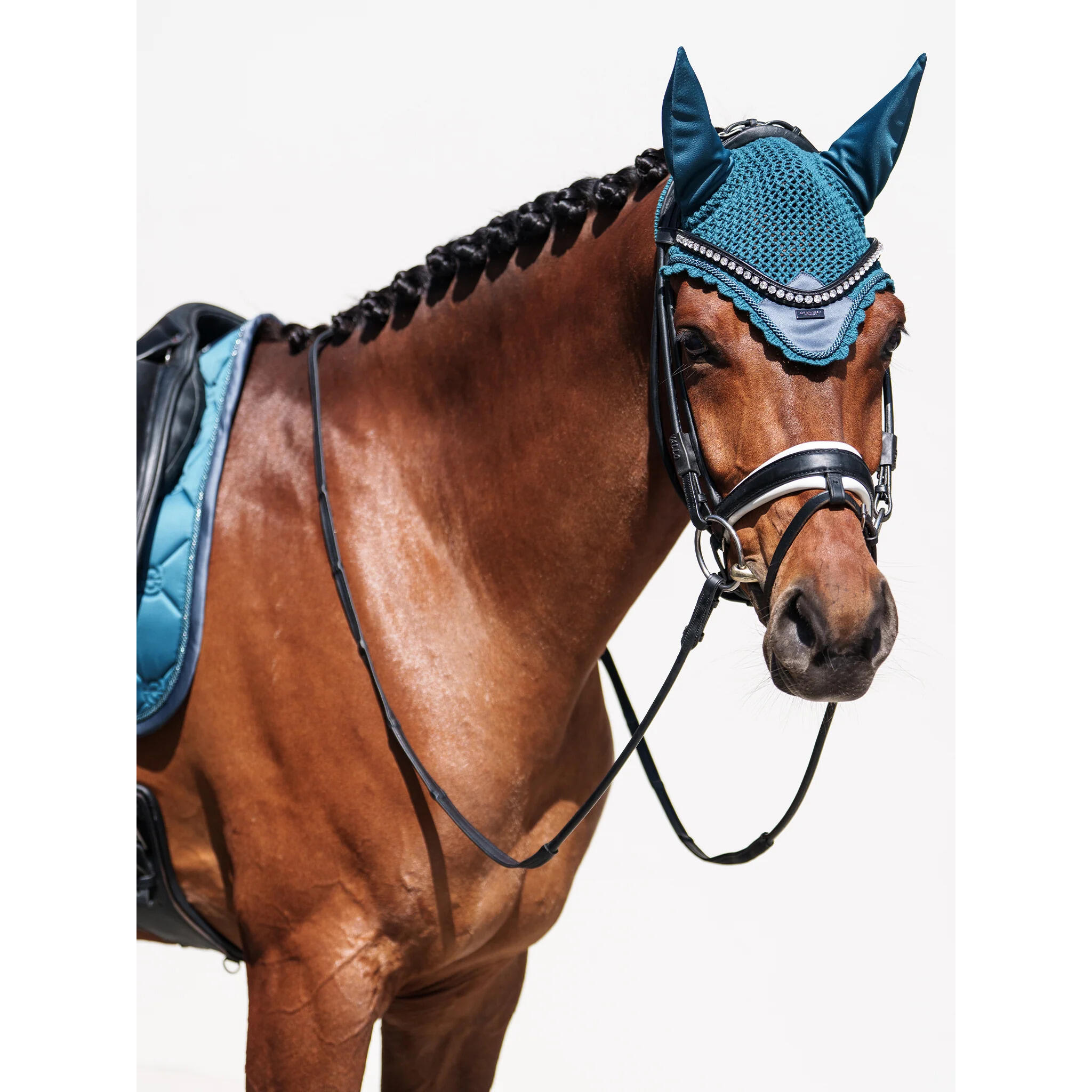 Short bonnet for horses Equestrian Stockholm 3/4