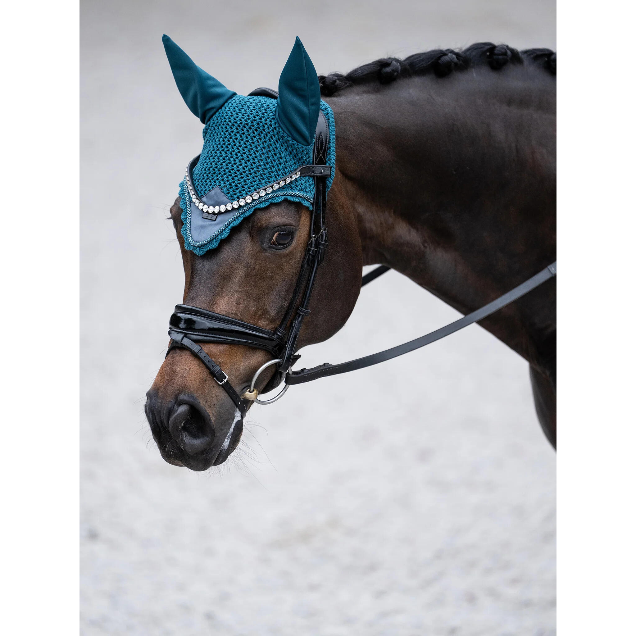 Short bonnet for horses Equestrian Stockholm 4/4