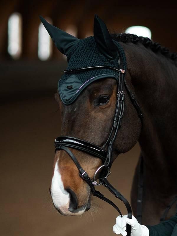 EQUESTRIAN STOCKHOLM picture