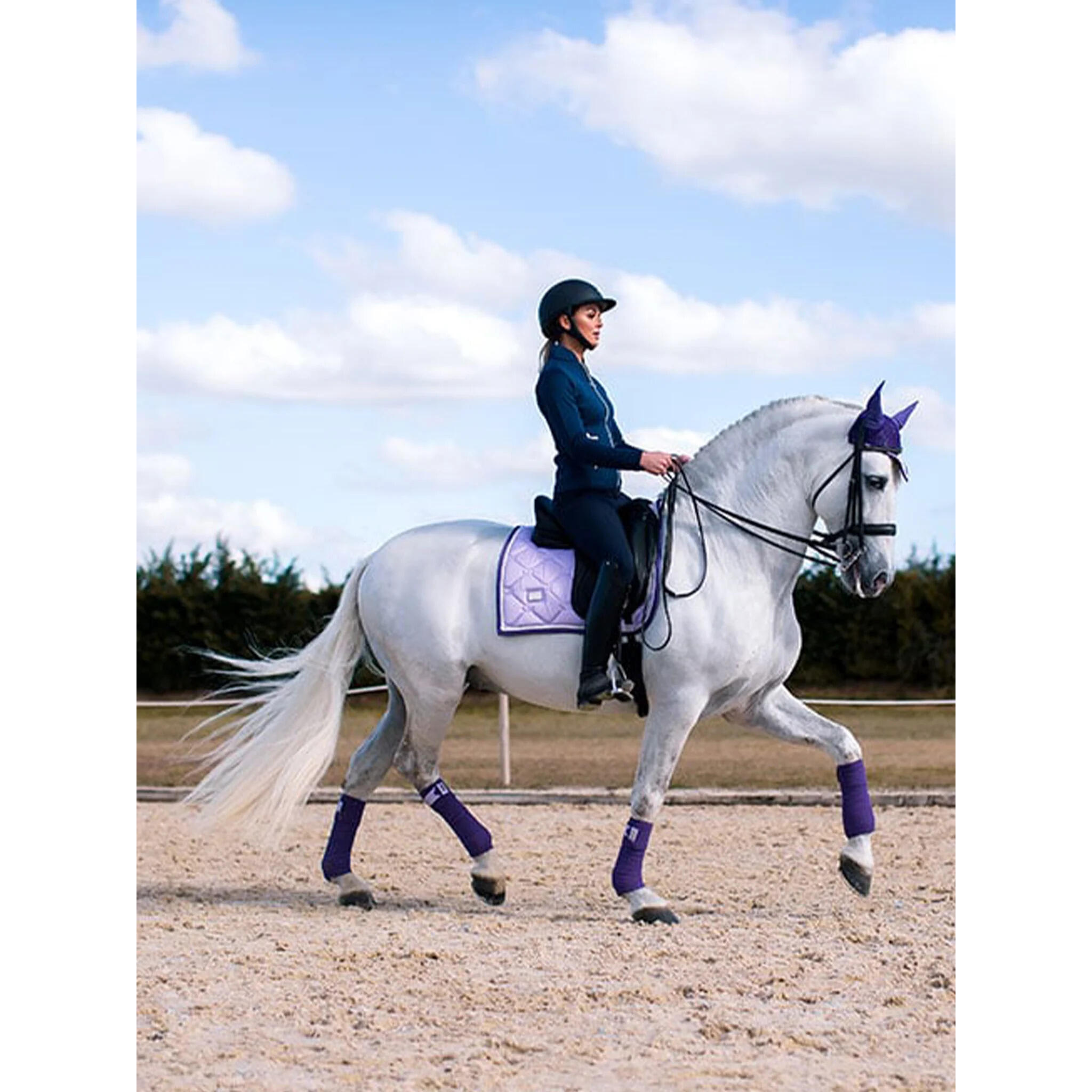Dressuurmat voor paarden Equestrian Stockholm 2/7