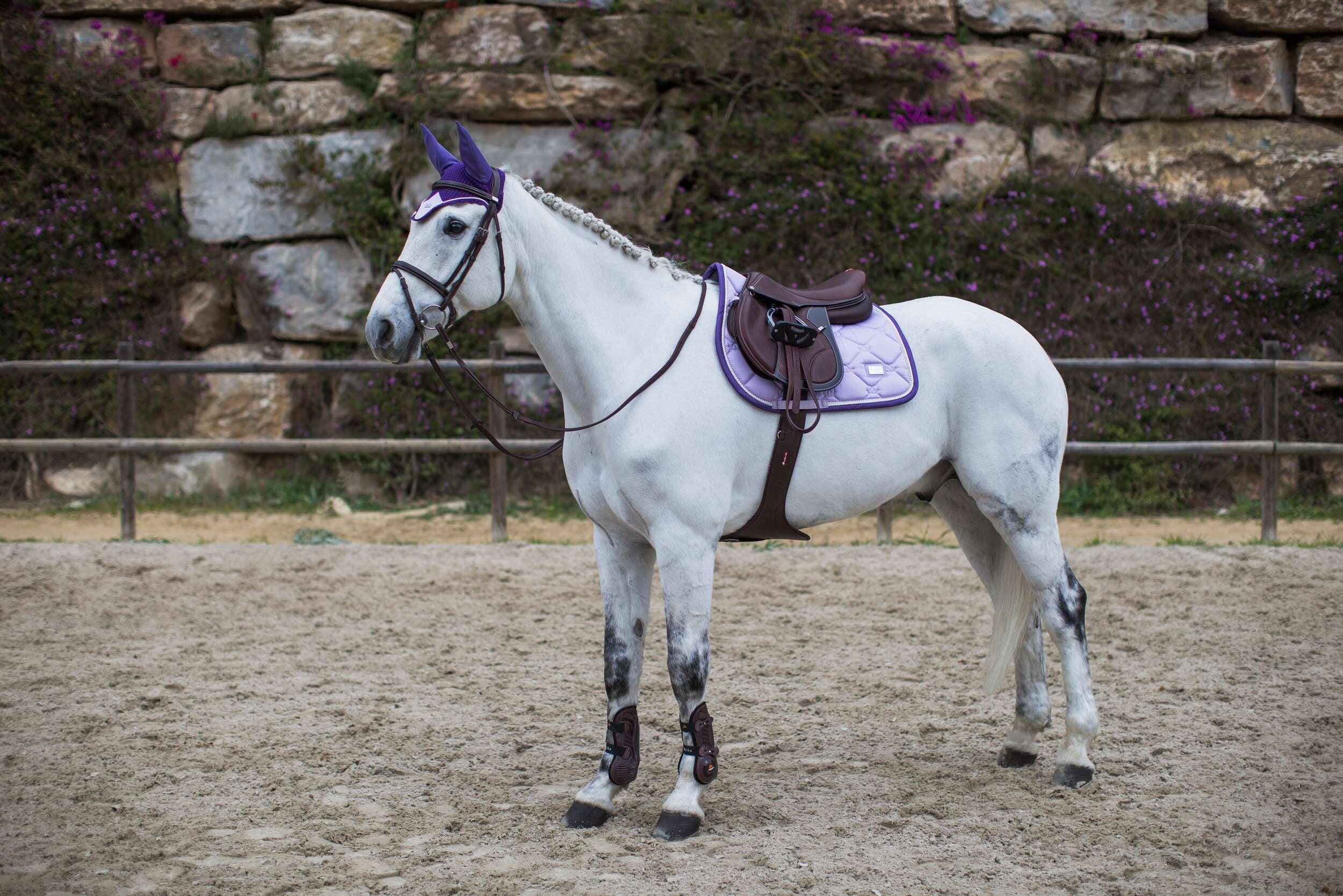 EQUESTRIAN STOCKHOLM picture