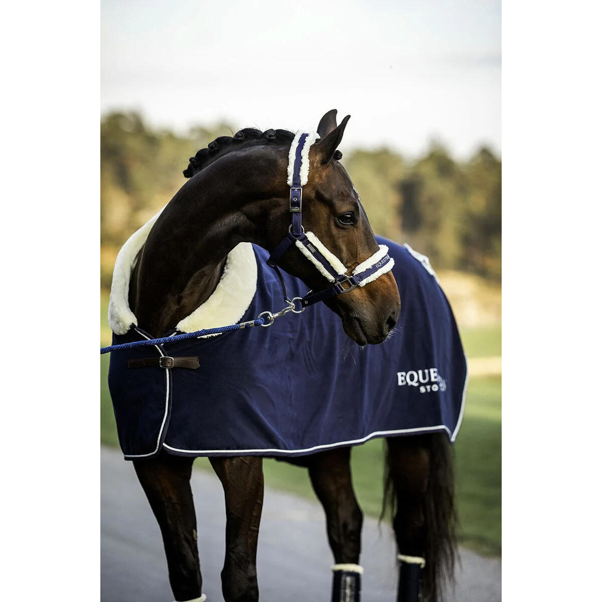 Halster en touwset voor paarden Equestrian Stockholm 3/5