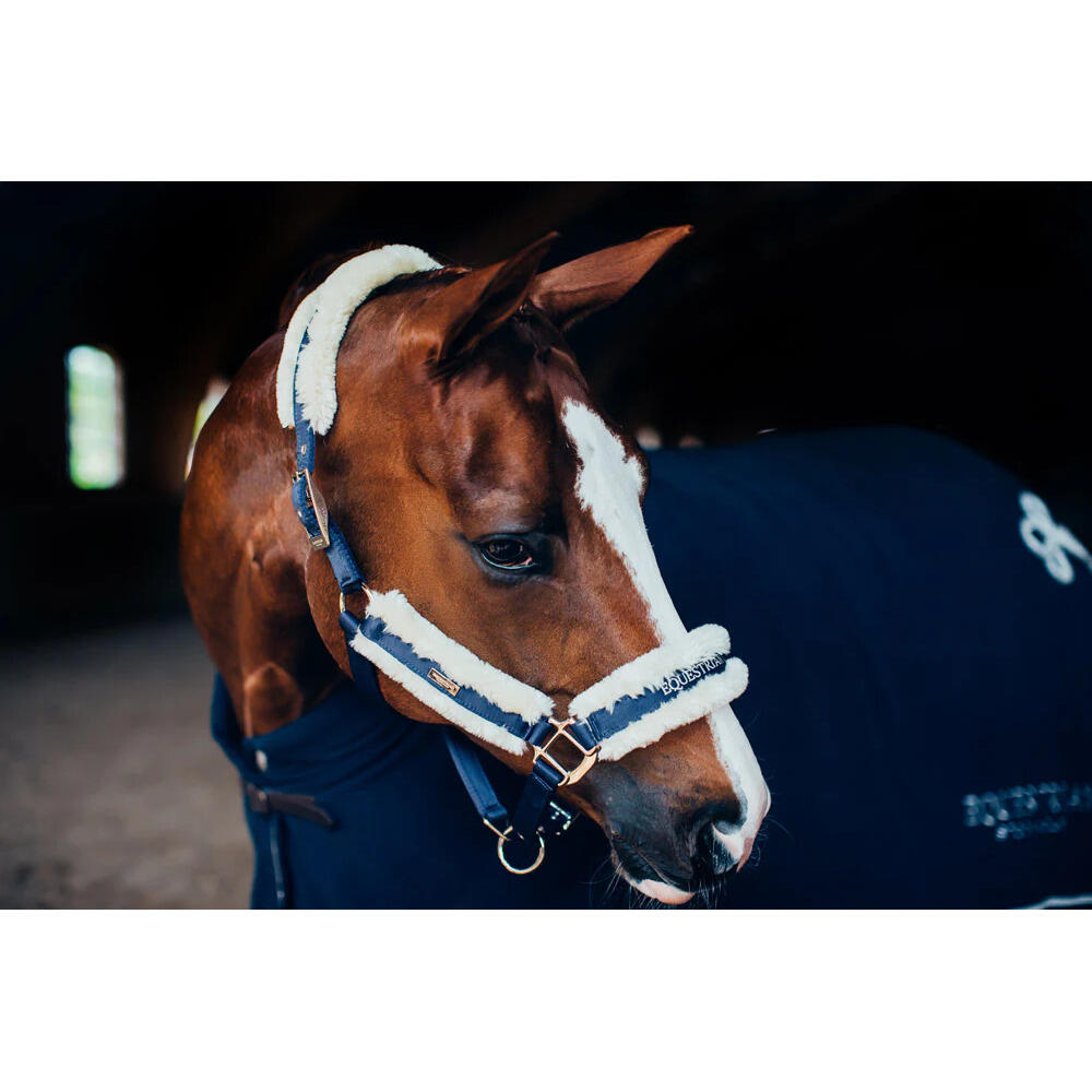 Halster en touwset voor paarden Equestrian Stockholm 5/5