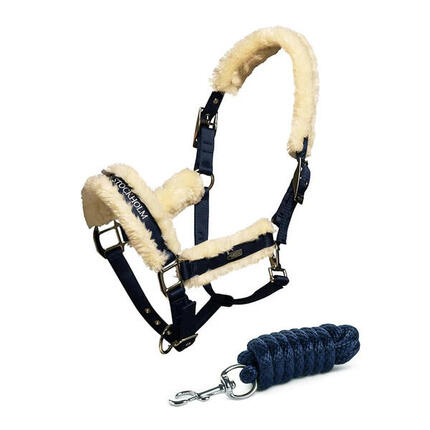 Ensemble licol et longe pour cheval Equestrian Stockholm