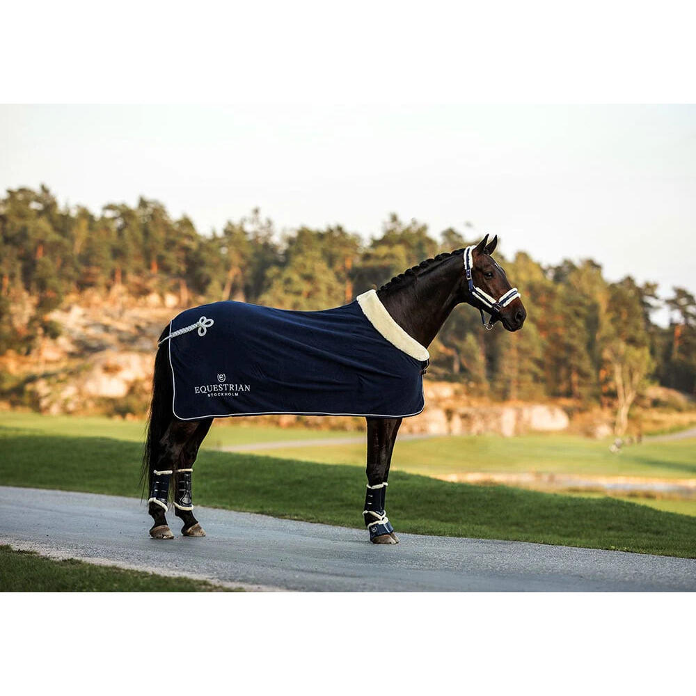Halster en touwset voor paarden Equestrian Stockholm 4/5